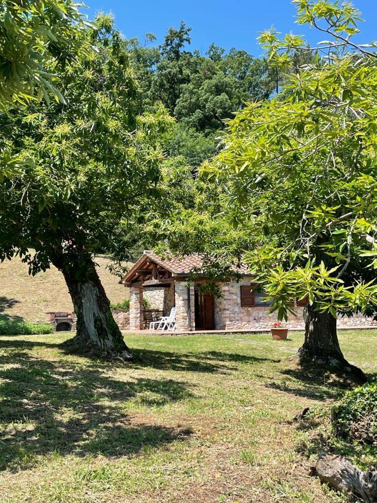 Casa Nel Bosco Villa ซัสเซ็ตตา ภายนอก รูปภาพ